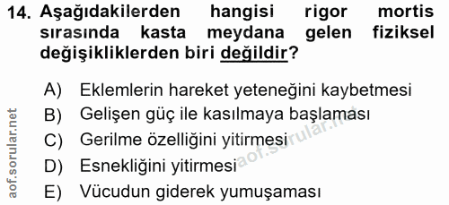 Soru 14