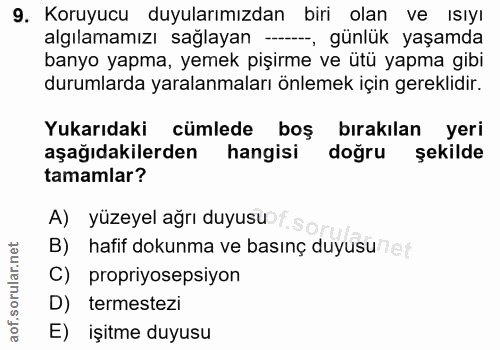 Soru 9