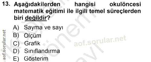 Soru 13