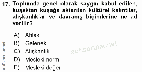 Soru 17