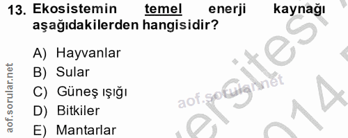 Soru 13