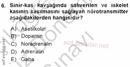 Soru 6
