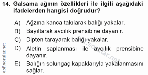 Soru 14