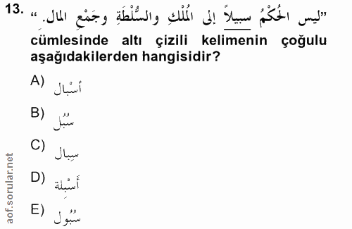 Soru 13