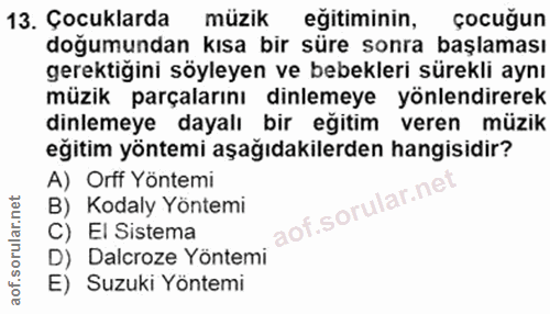 Soru 13