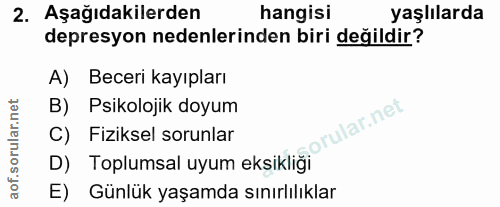 Soru 2