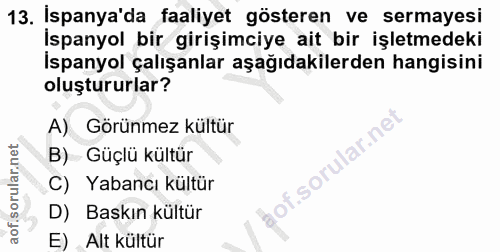 Soru 13