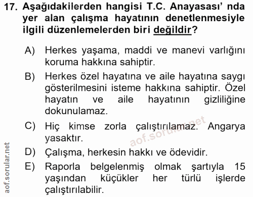 Soru 17