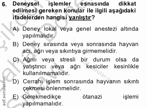 Soru 6