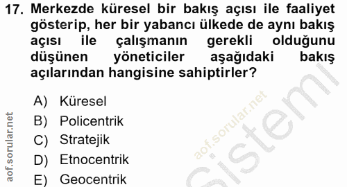 Soru 17