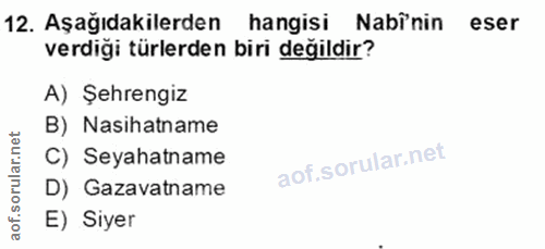 Soru 12