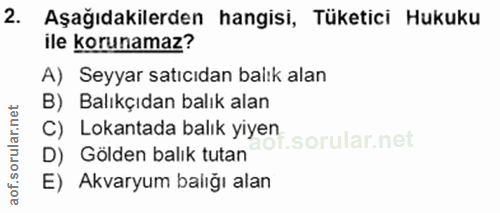 Soru 2