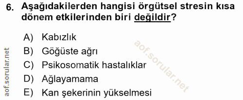 Soru 6