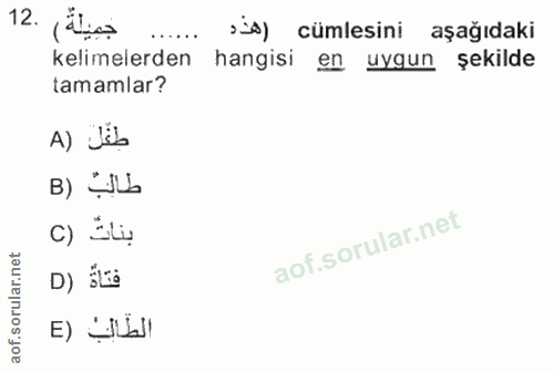 Soru 12
