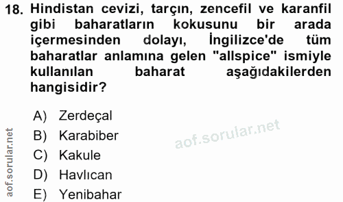 Soru 18