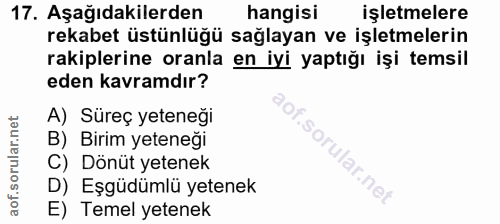 Soru 17