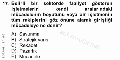 Soru 17