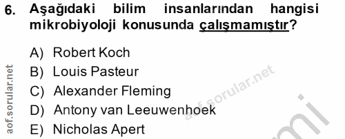 Soru 6