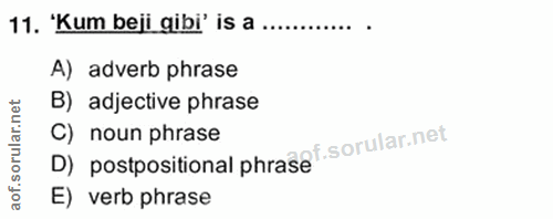 Soru 11