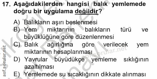 Soru 17