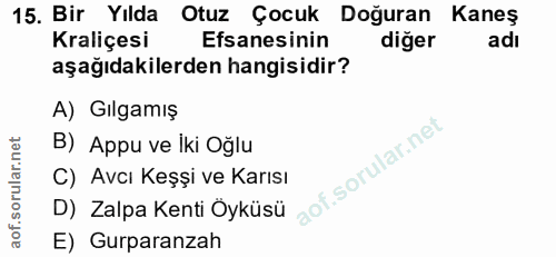 Soru 15