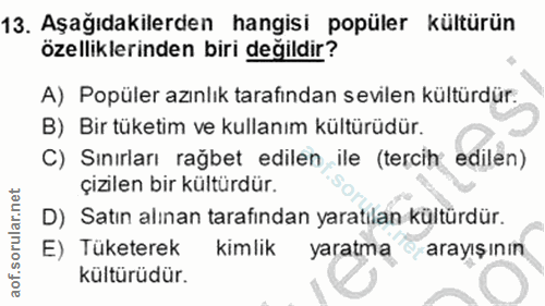 Soru 13