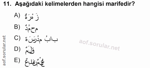 Soru 11