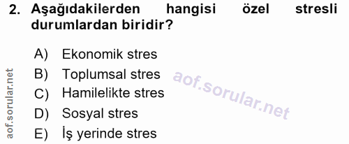 Soru 2