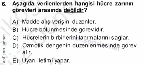 Soru 6