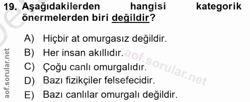Soru 19