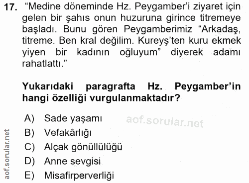 Soru 17