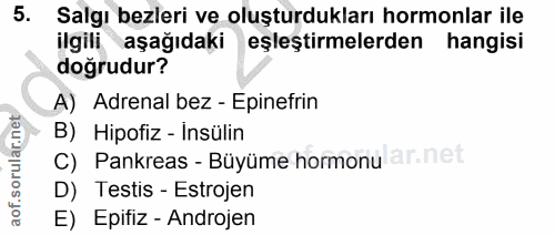 Soru 5