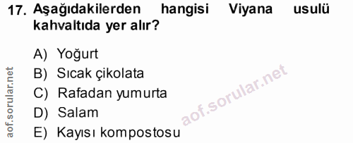 Soru 17
