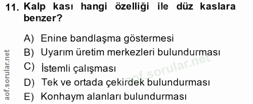 Soru 11