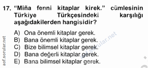 Soru 17