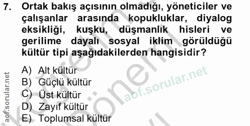 Soru 7
