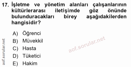 Soru 17