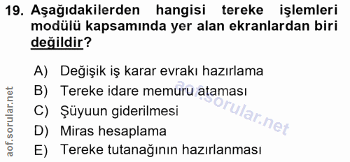 Soru 19