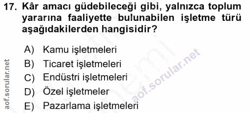 Soru 17