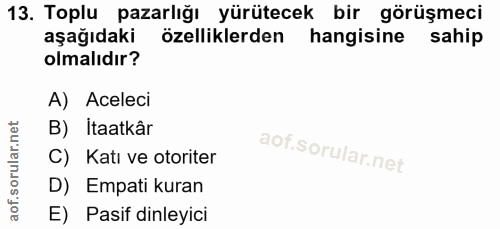 Soru 13