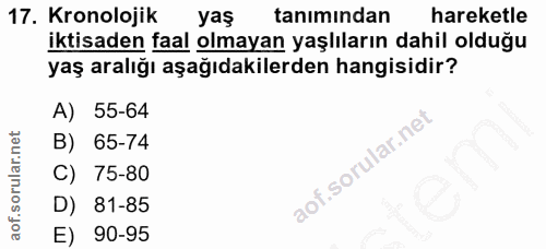 Soru 17