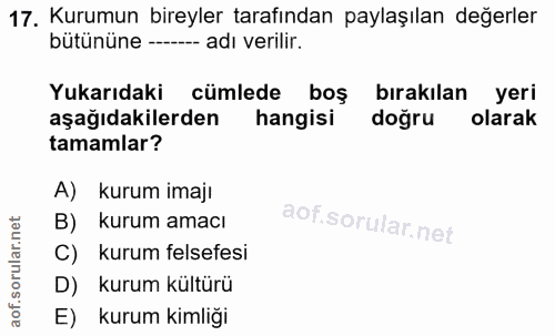 Soru 17