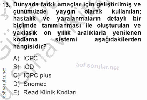 Soru 13