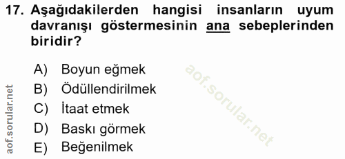 Soru 17