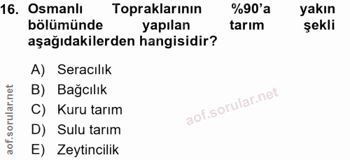 Soru 16