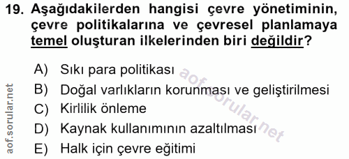 Soru 19