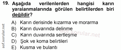 Soru 19