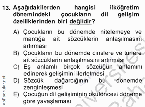 Soru 13