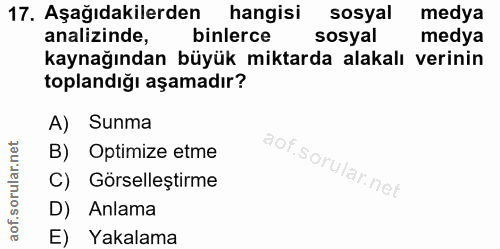 Soru 17