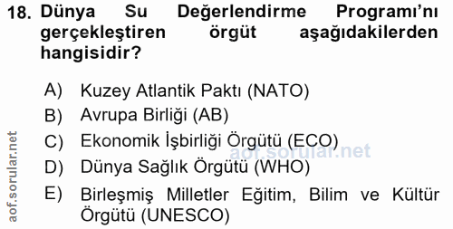 Soru 18